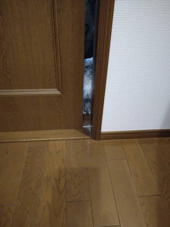 1746689118877