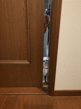 20250506_204111