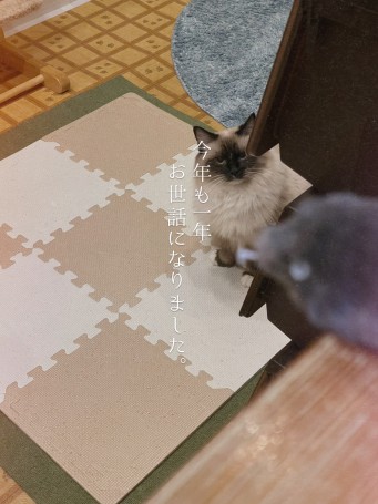 SNOW_20251224_071741_362