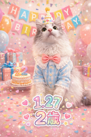 file_00000000c56071fd8881efa40dd90098