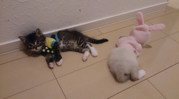 Screenshot_20260203-114139~2