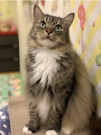 Screenshot_20260204-060808~2