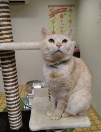 Screenshot_20260218-050012~2