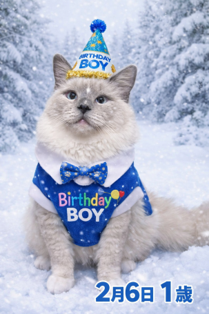 file_00000000988472308628da44447cb2c8