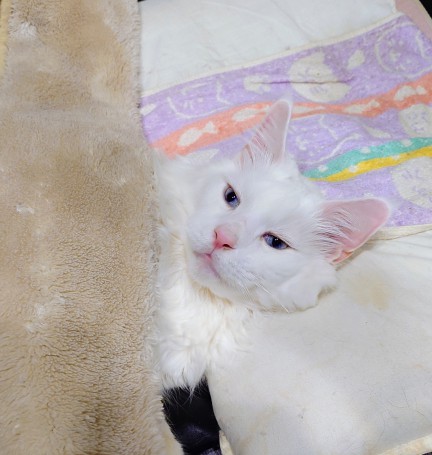 20260312_220152603~2